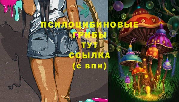 прущие крисы Надым