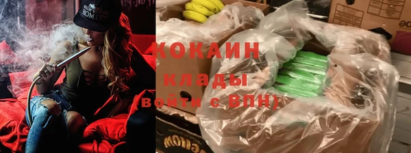 прущие крисы Надым