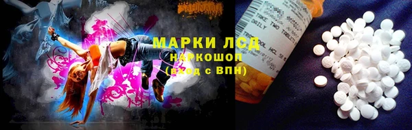 прущие крисы Надым