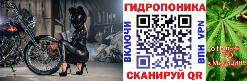 МАРИХУАНА сатива Енисейск